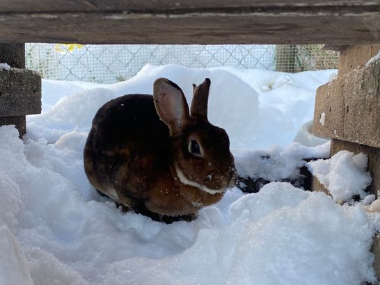 WhatsApp Image 2023-12-03 at 13.01.45 (3).jpeg WhatsApp Image 2023-12-03 at 13.01.45 (3)