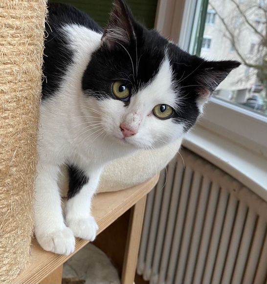 WhatsApp Image 2024-01-27 at 08.59.08.jpeg WhatsApp Image 2024-01-27 at 08.59.08