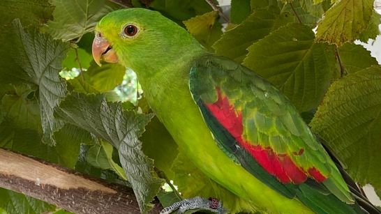 WhatsApp Image 2023-10-04 at 16.08.10.jpeg WhatsApp Image 2023-10-04 at 16.08.10