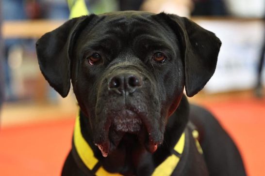 WhatsApp Image 2023-02-06 at 09.35.32.jpeg WhatsApp Image 2023-02-06 at 09.35.32