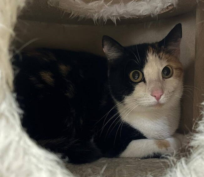 whatsapp_image_2026-02-24_at_21.02.53.jpeg whatsapp_image_2026-02-24_at_21.02.53.jpeg